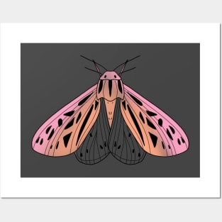 Dusty pink moth with spread wings cute gift Posters and Art